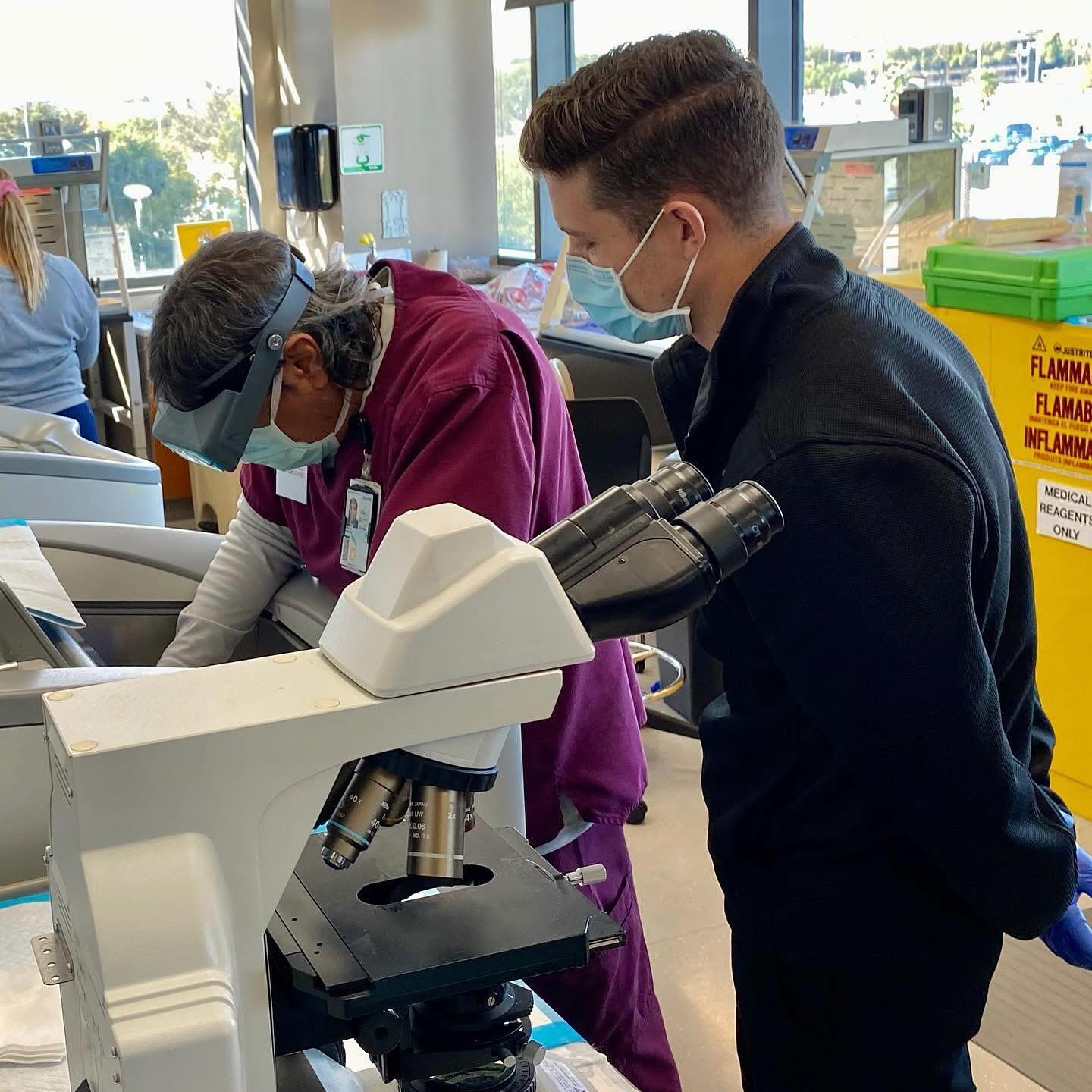 Mohs histology laboratory microscope work